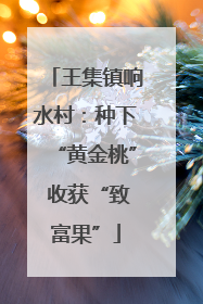 王集镇响水村：种下“黄金桃” 收获“致富果”